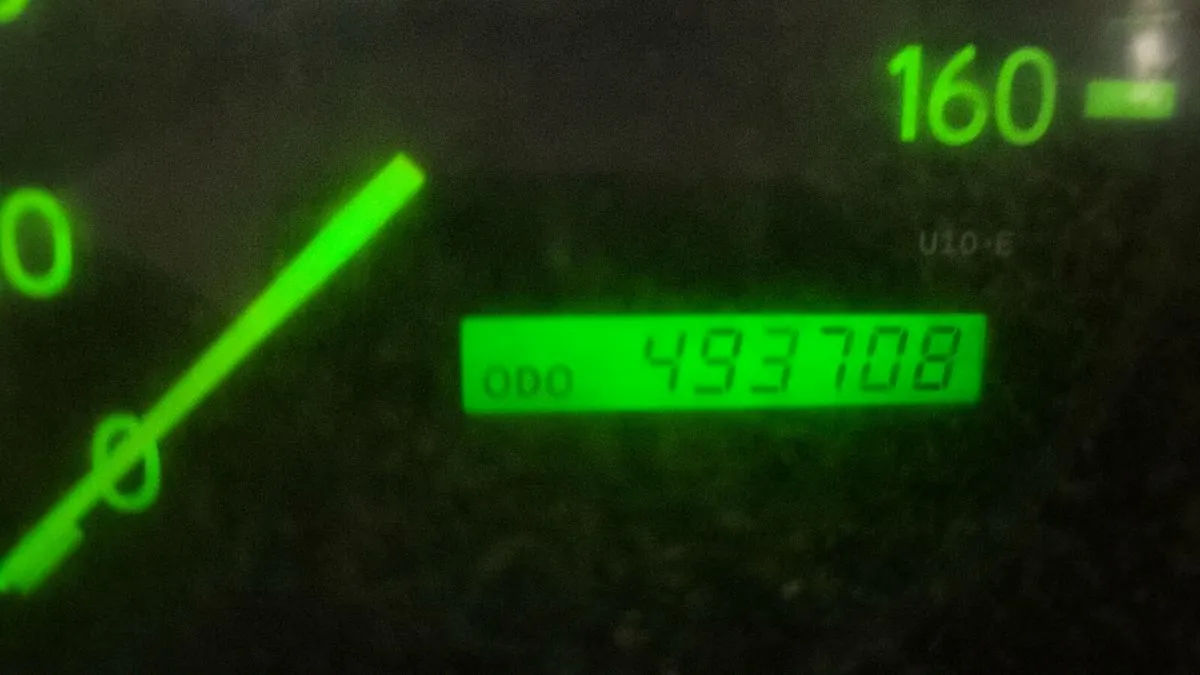 4x4 dyna 3.0 fresh doe - Image 4