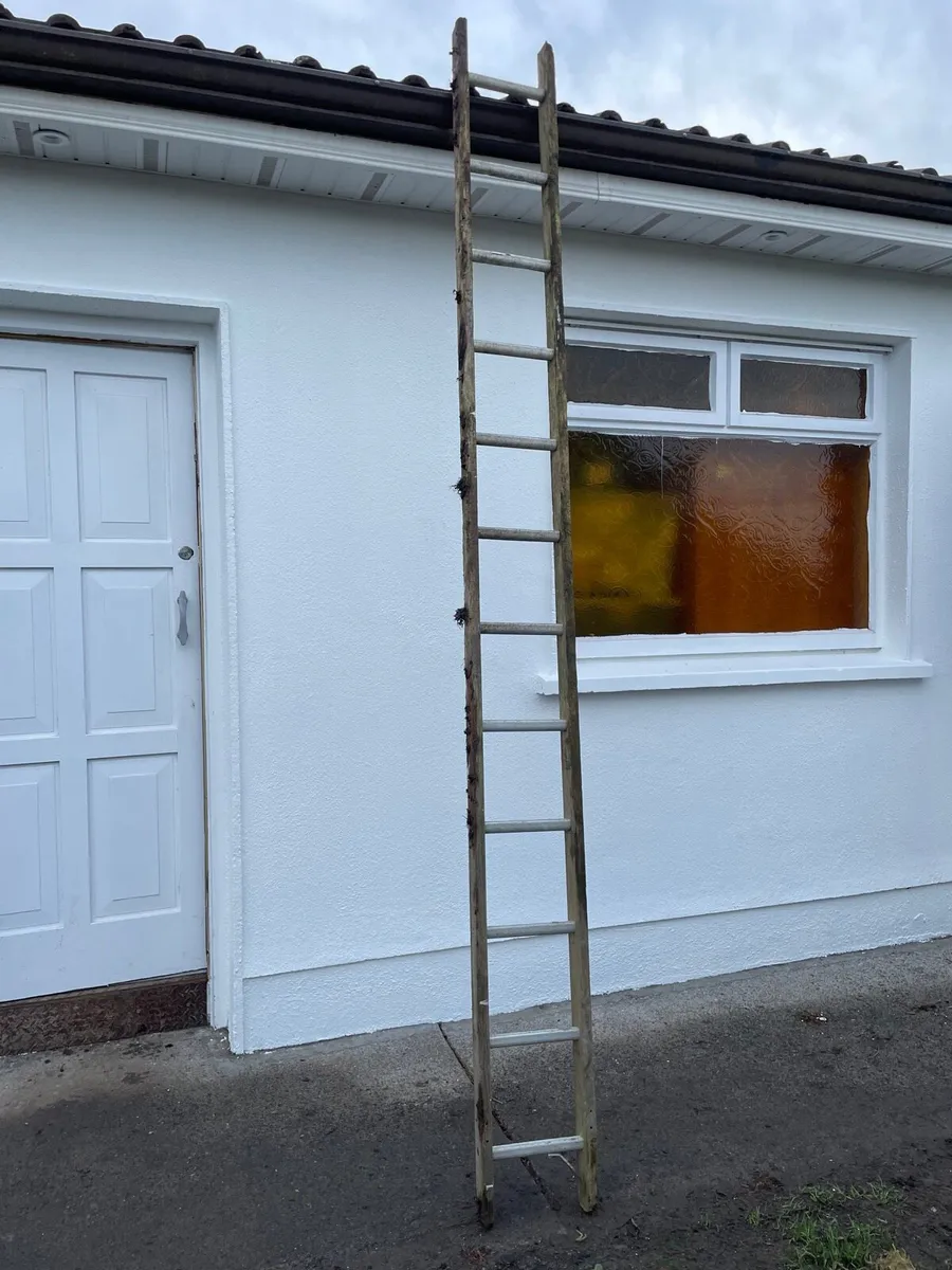 Large ladder €20 - Image 1