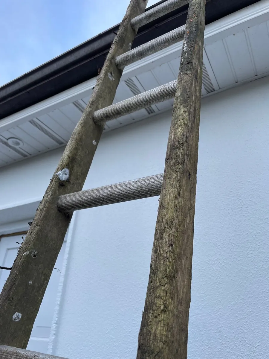 Large ladder €20 - Image 2