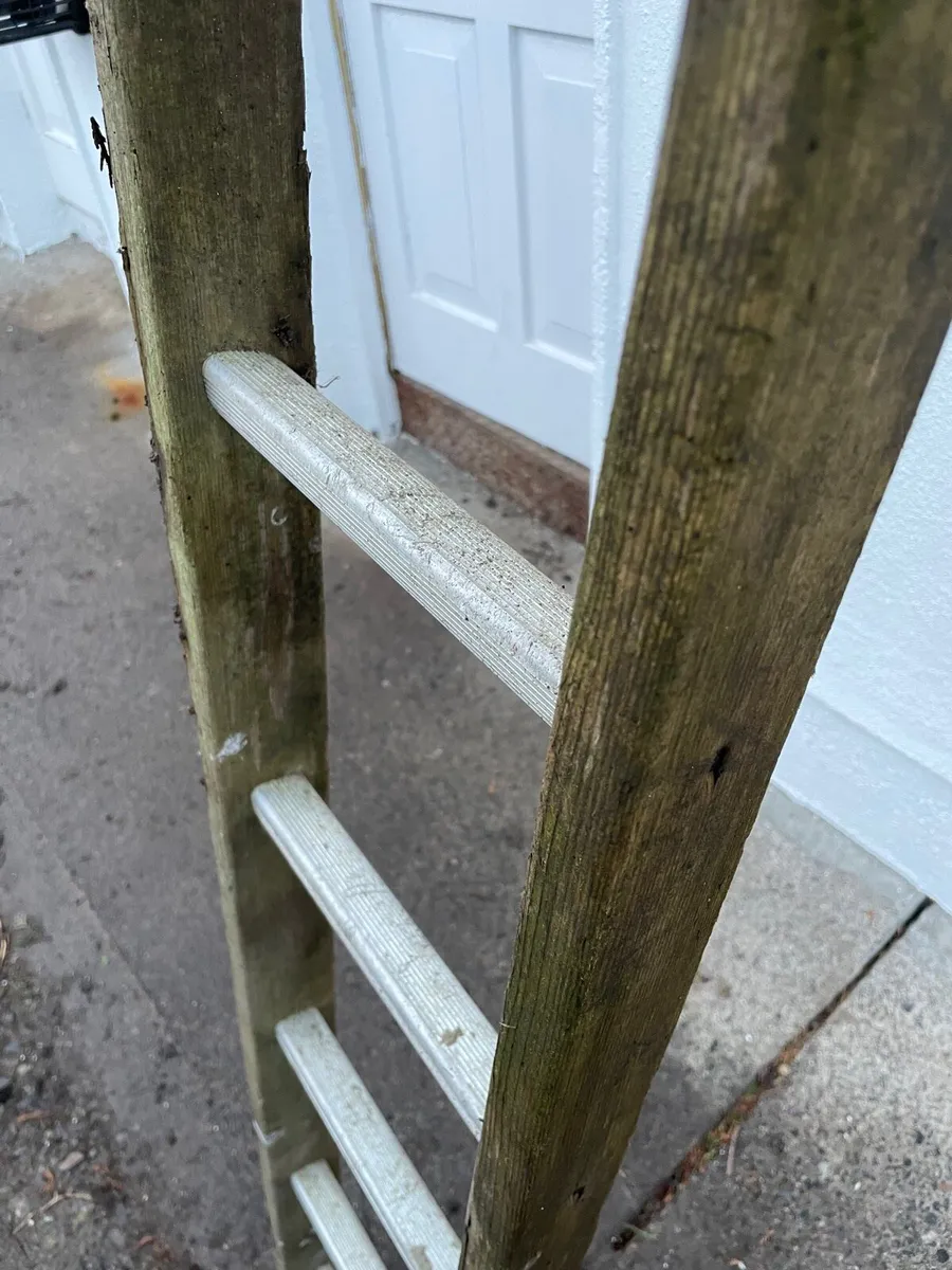 Large ladder €20 - Image 3