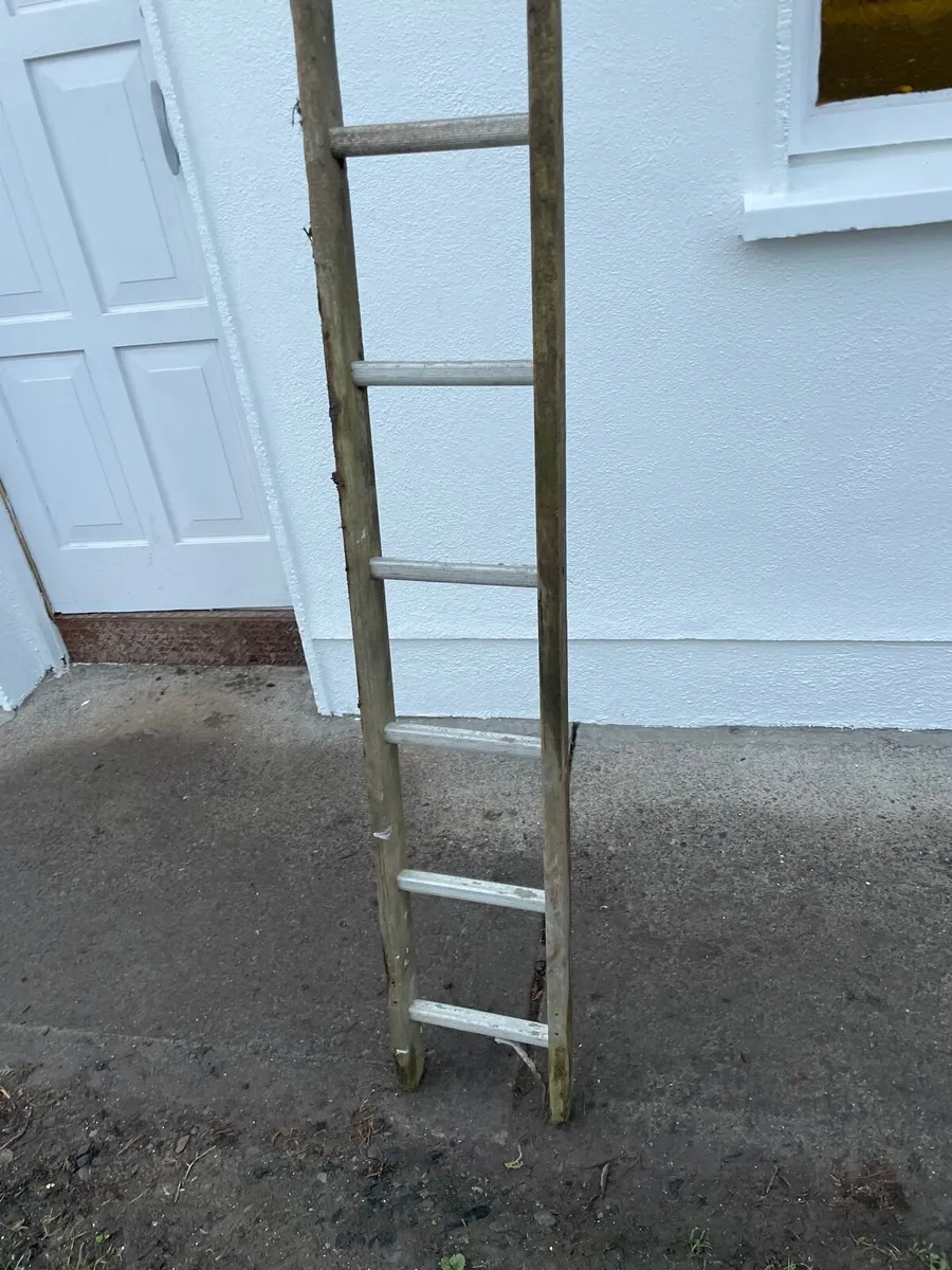 Large ladder €20 - Image 4