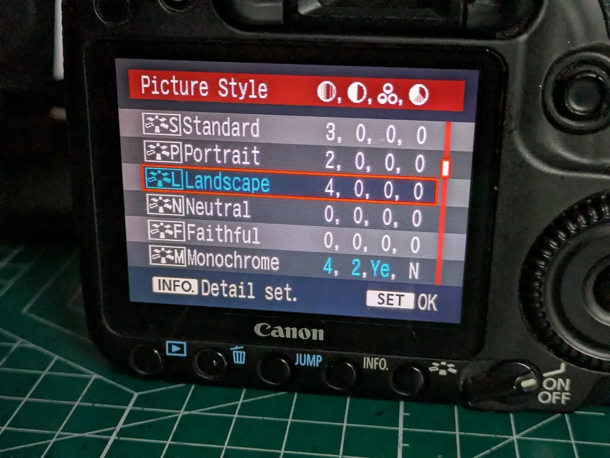 Canon 40D + Olympus Zuiko 50/1.8 manual focus only - Image 4