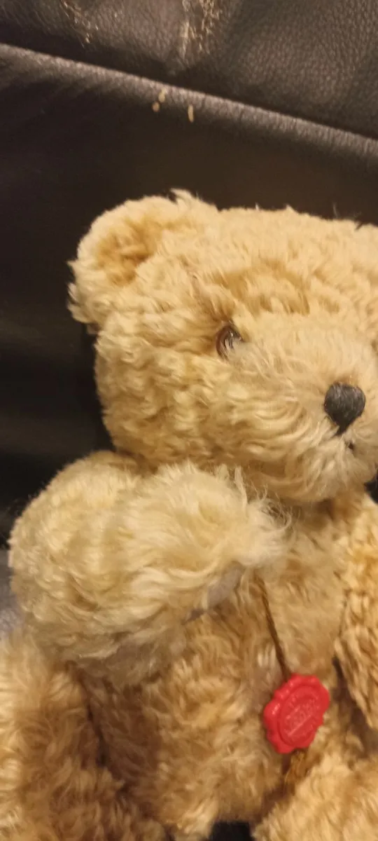 Hermann Original Teddy - Image 3