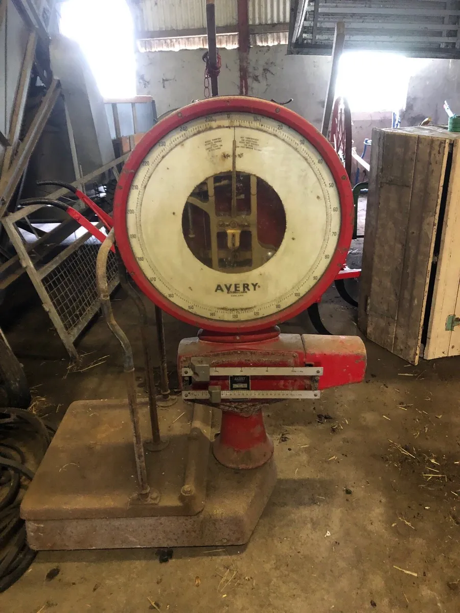 Platform scales to weigh  up to 250kg - Image 1