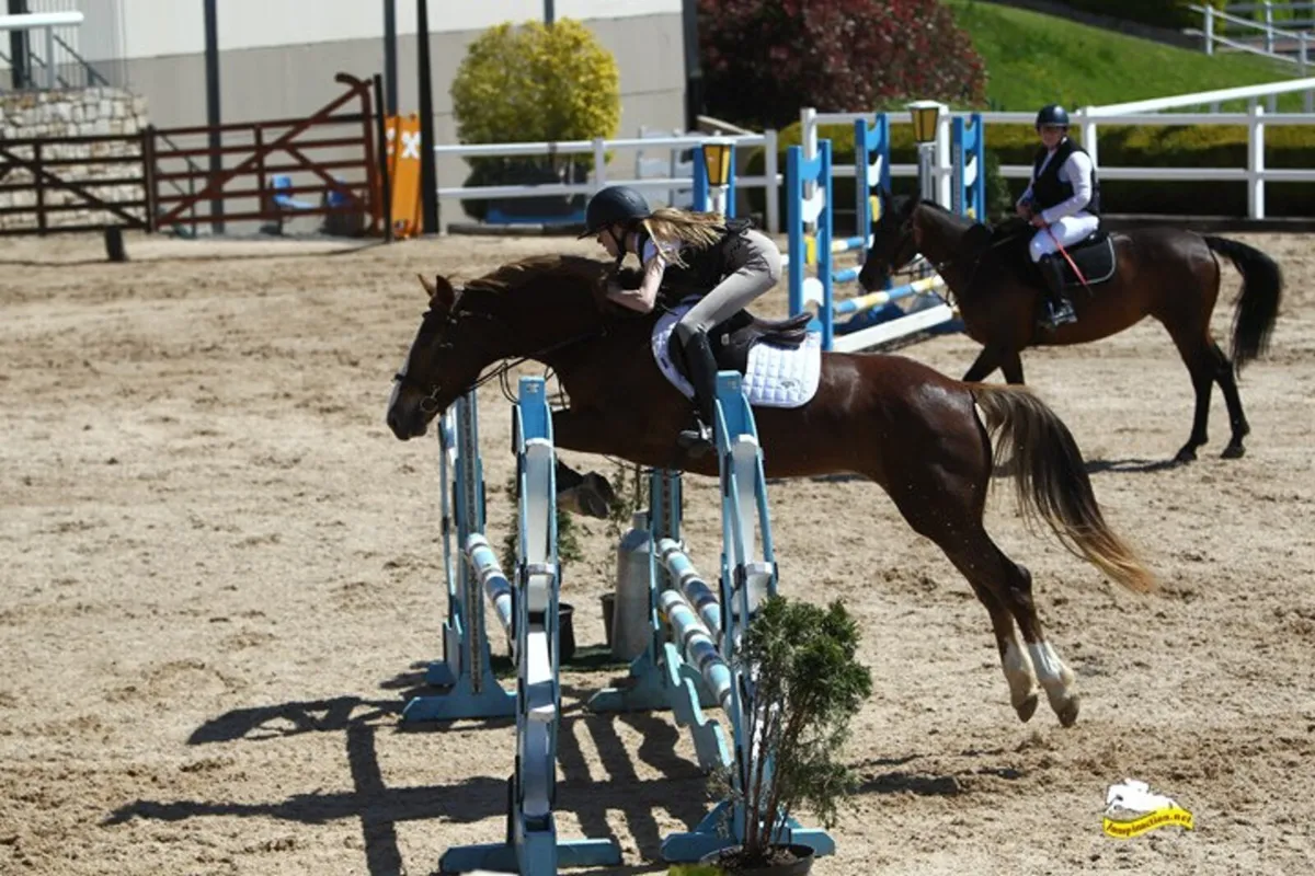 Super Sj/Event Pony - Image 3