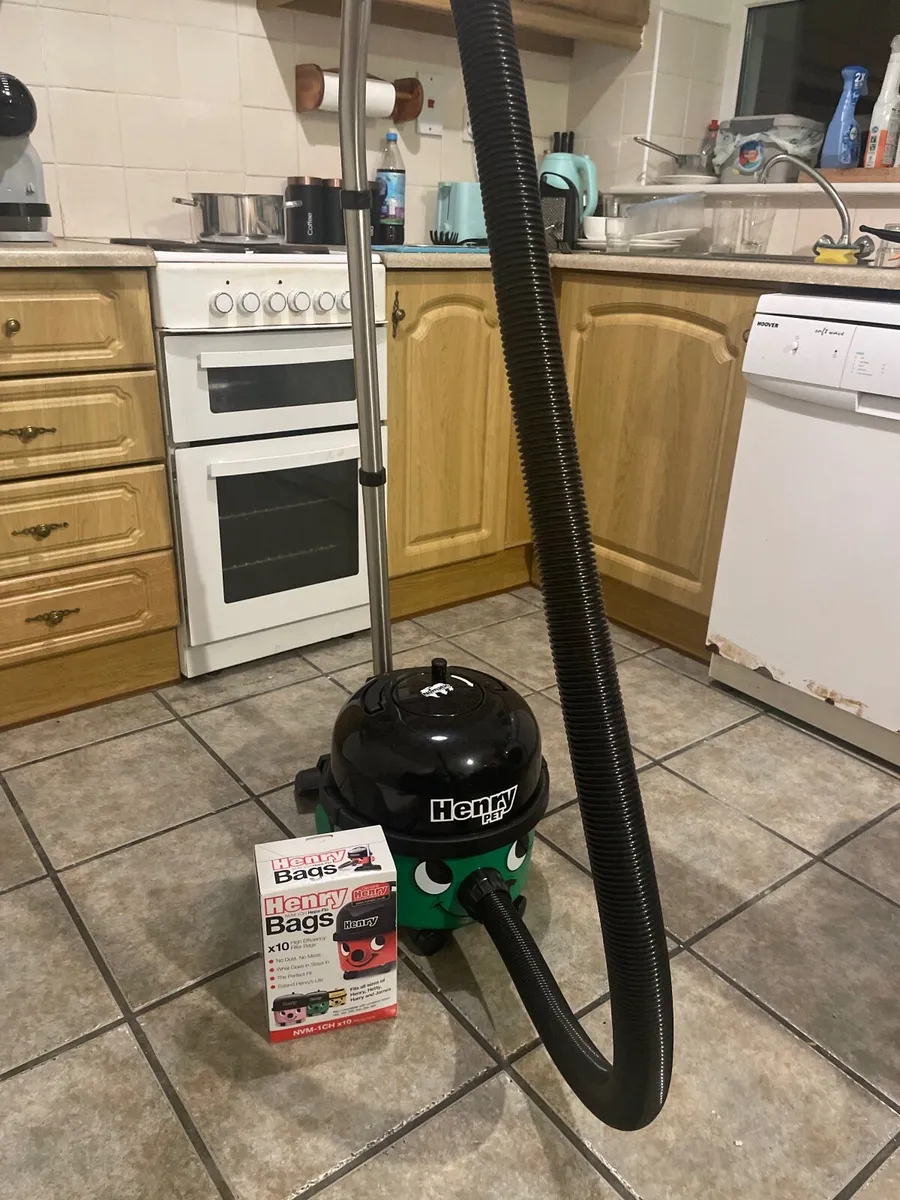 Anti allergenic Henry Hoover