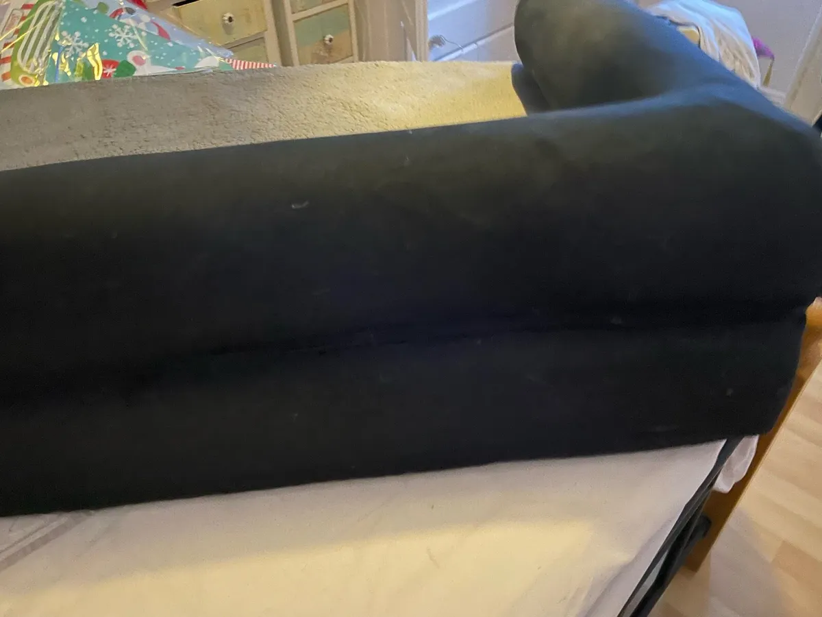 Dogs bed and a standard lamp - Image 3