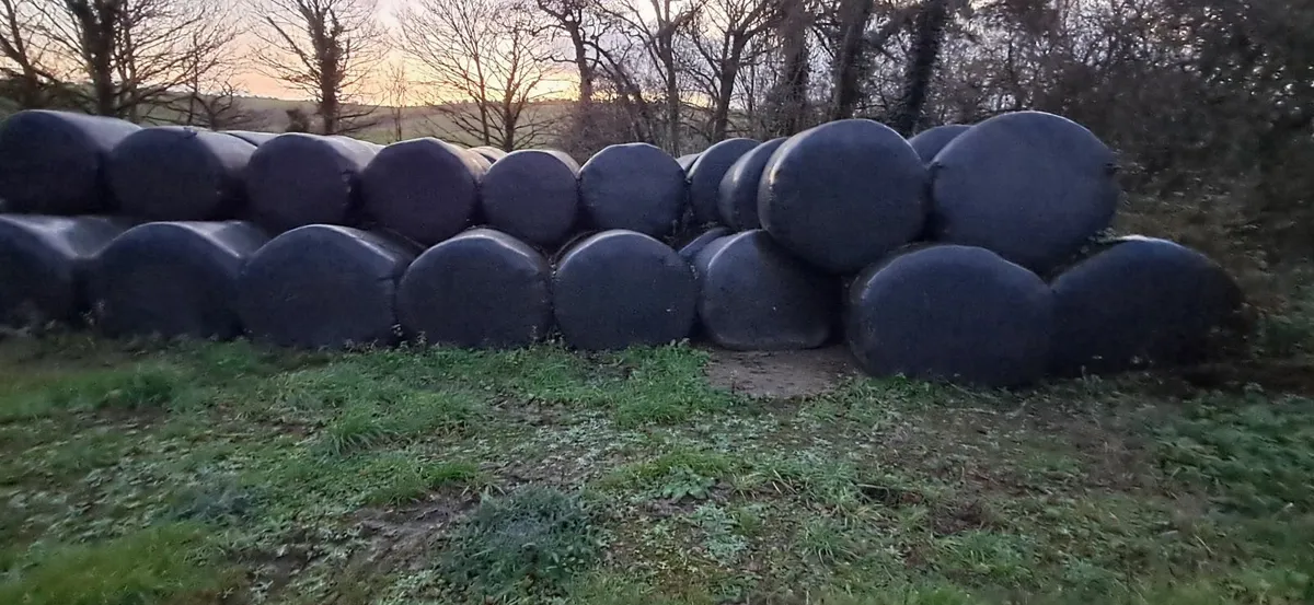 Bale silage - Image 2