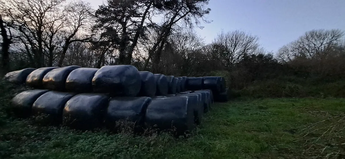 Bale silage - Image 3