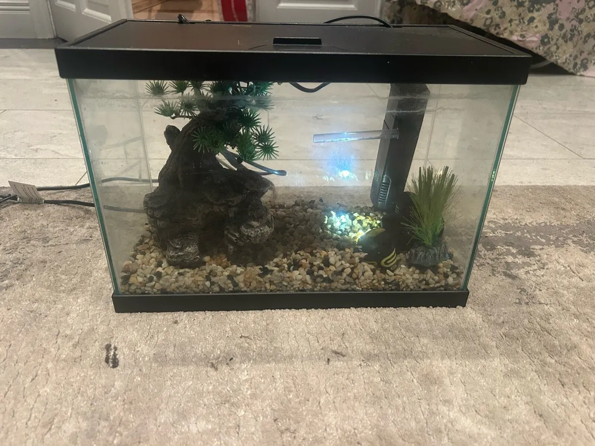 Fish tank - Image 1