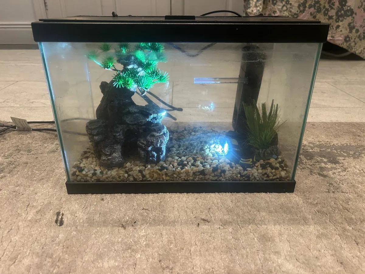 Fish tank - Image 2