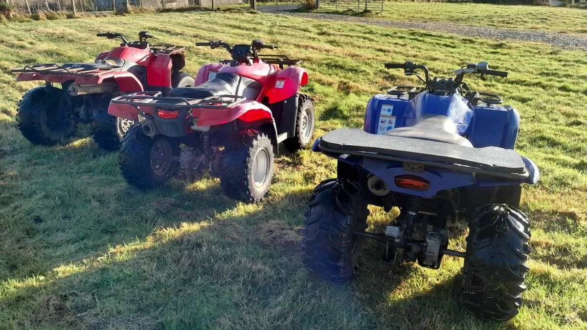 Grizzly 450 + 300 / Honda 420FM - Image 1