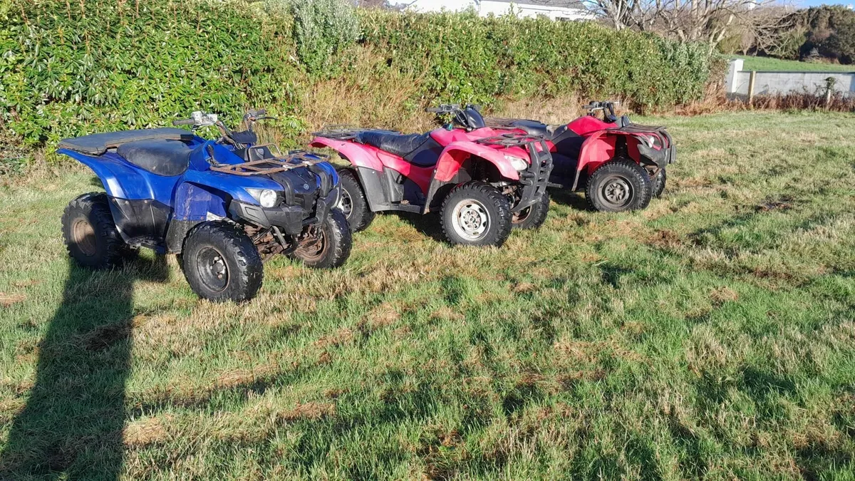 Grizzly 450 + 300 / Honda 420FM - Image 2