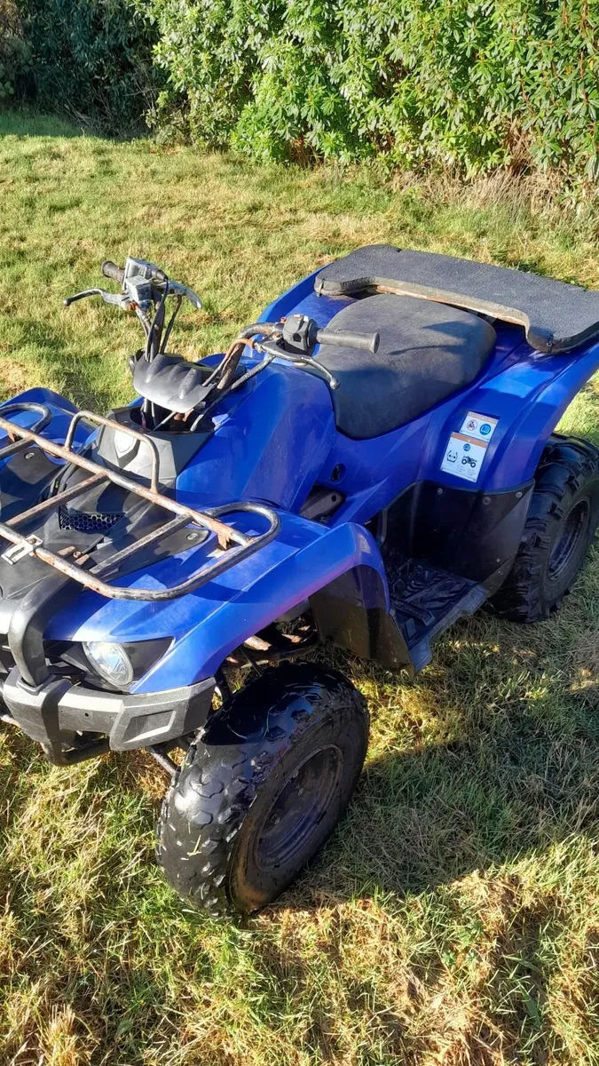 Grizzly 450 + 300 / Honda 420FM - Image 3