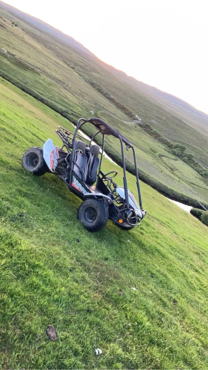 Trailblazer 150 buggy - Image 2