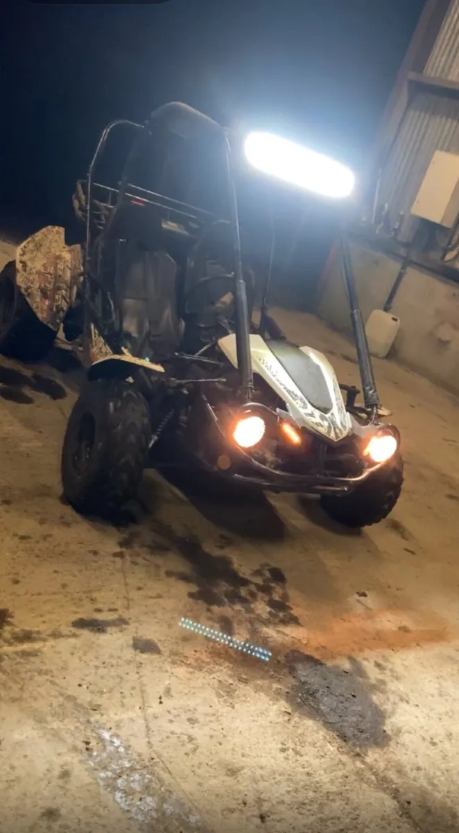 Trailblazer 150 buggy - Image 4