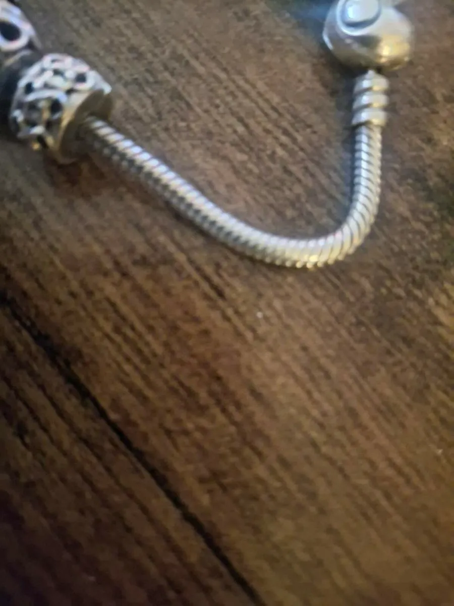Pandora bracelet found