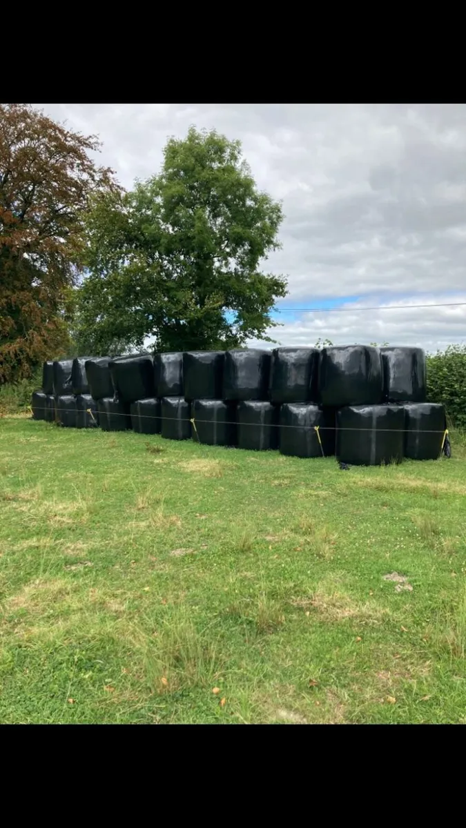 Silage - Image 1