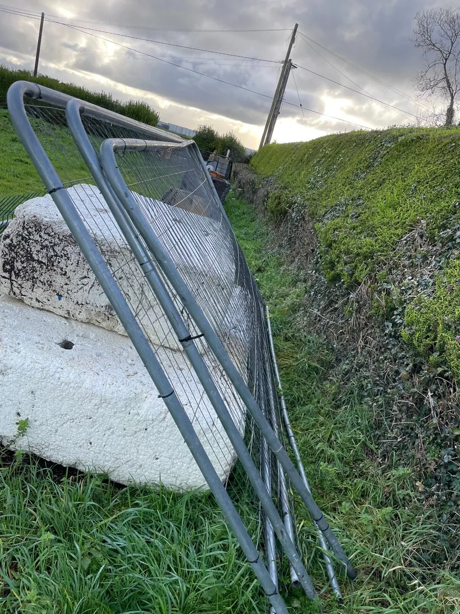 3 metal gates €50 set - Image 2