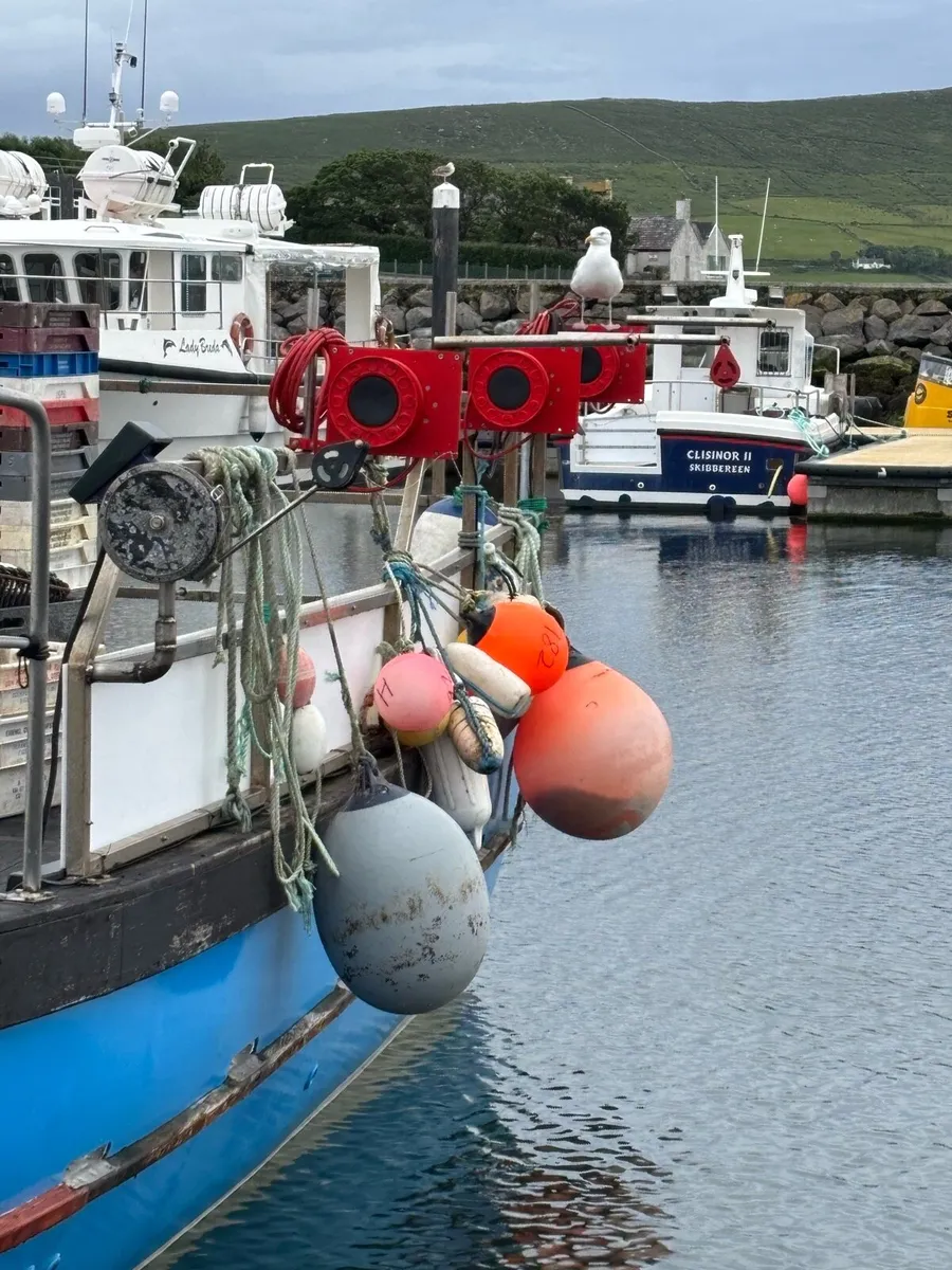 4 Jigging machines - Image 4