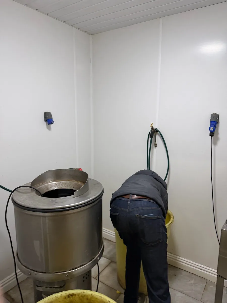 Bold Chipper/ Bold Peeler - Image 2