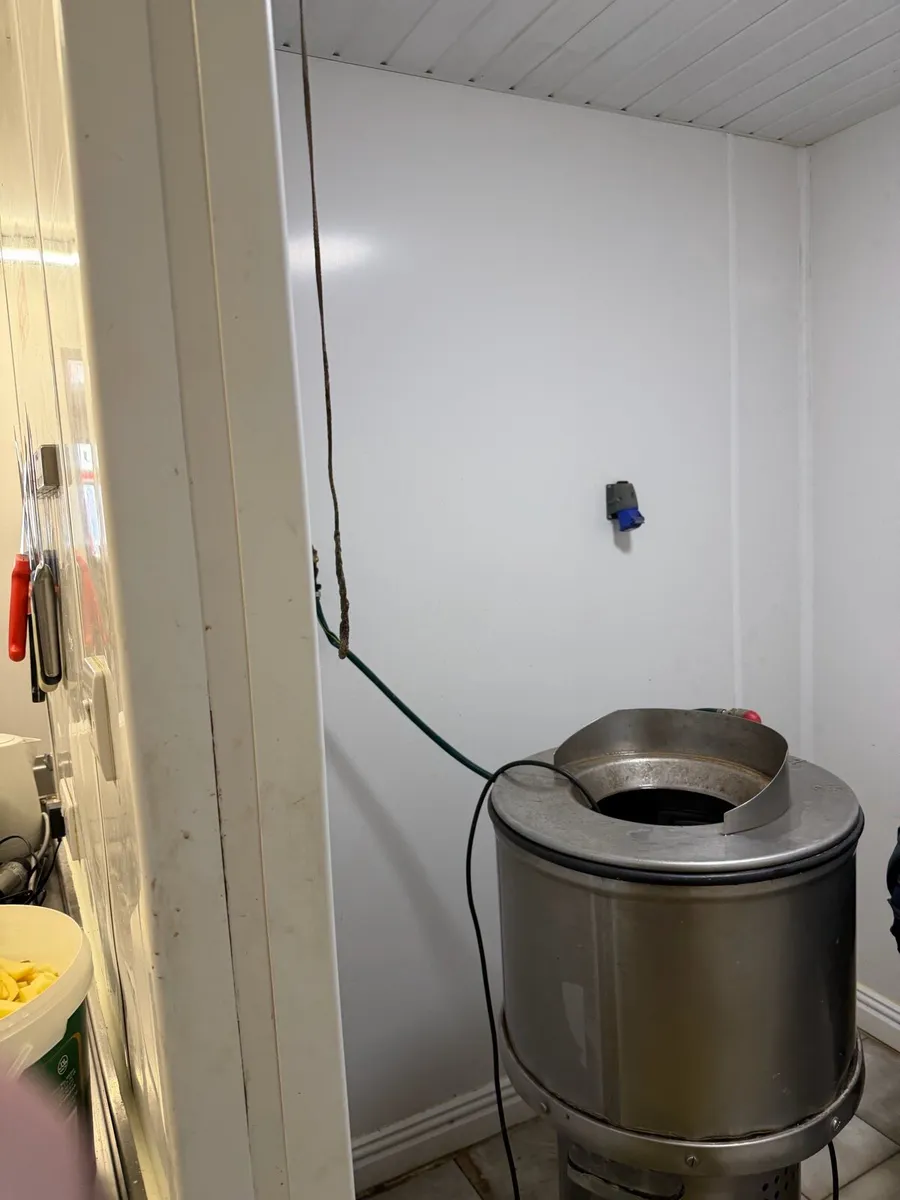 Bold Chipper/ Bold Peeler - Image 3