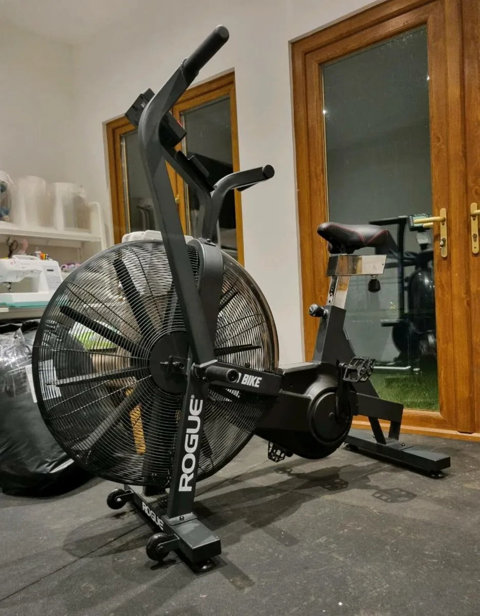 Rogue Echo bike - assault bike - Image 1