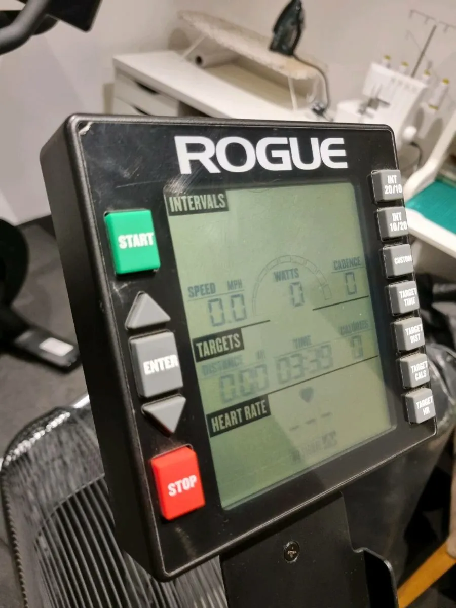 Rogue Echo bike - assault bike - Image 2