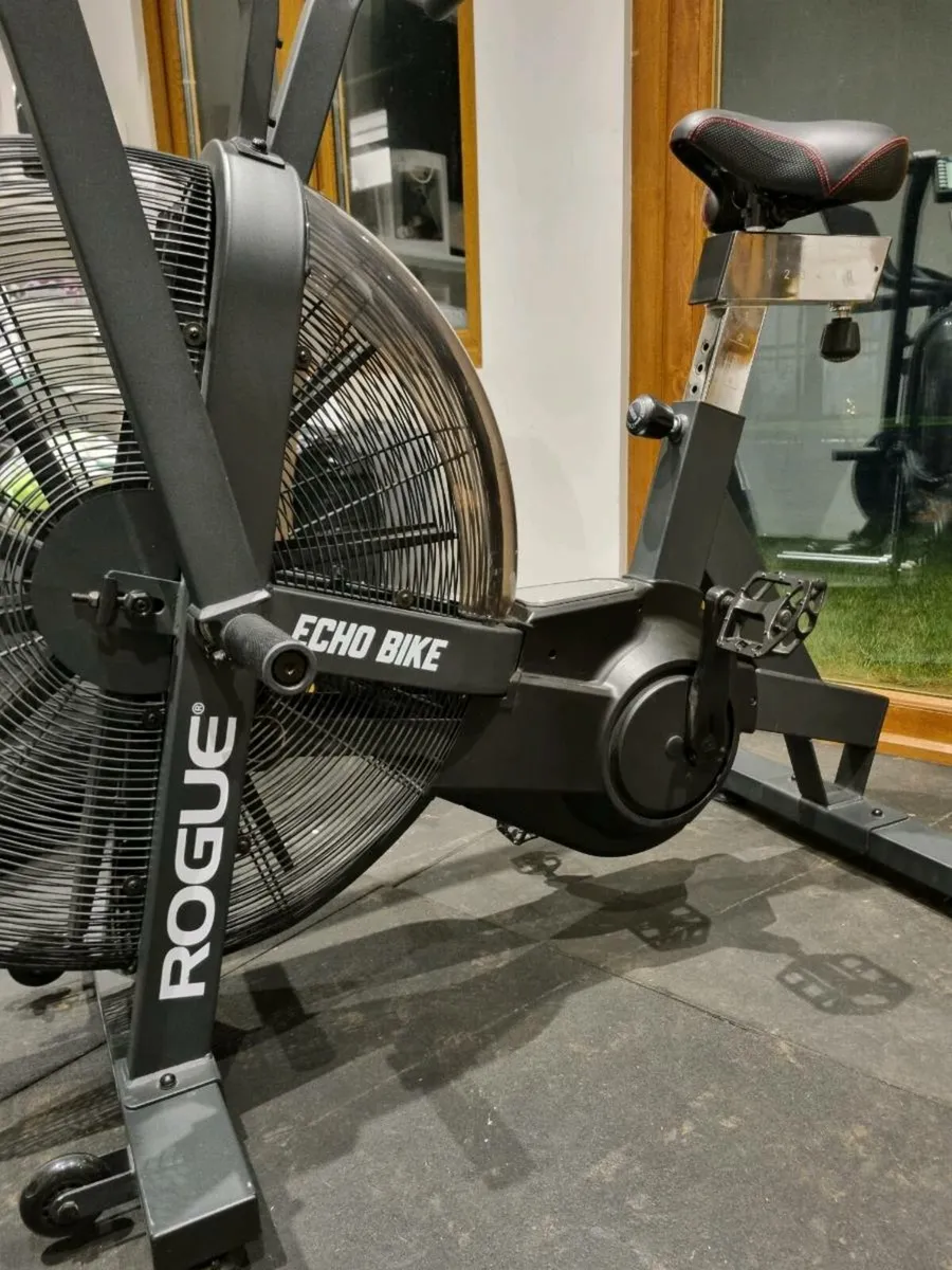 Rogue Echo bike - assault bike - Image 3