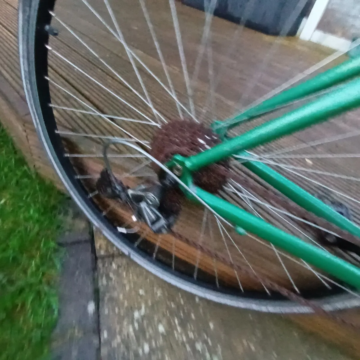 Ridgeback Velocity Hybrid - Image 4