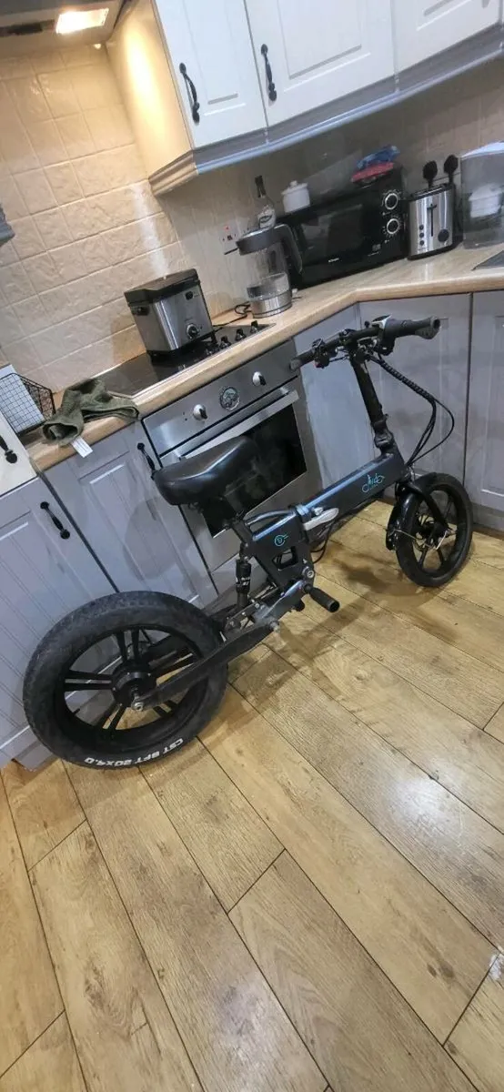 Ebike - Image 2