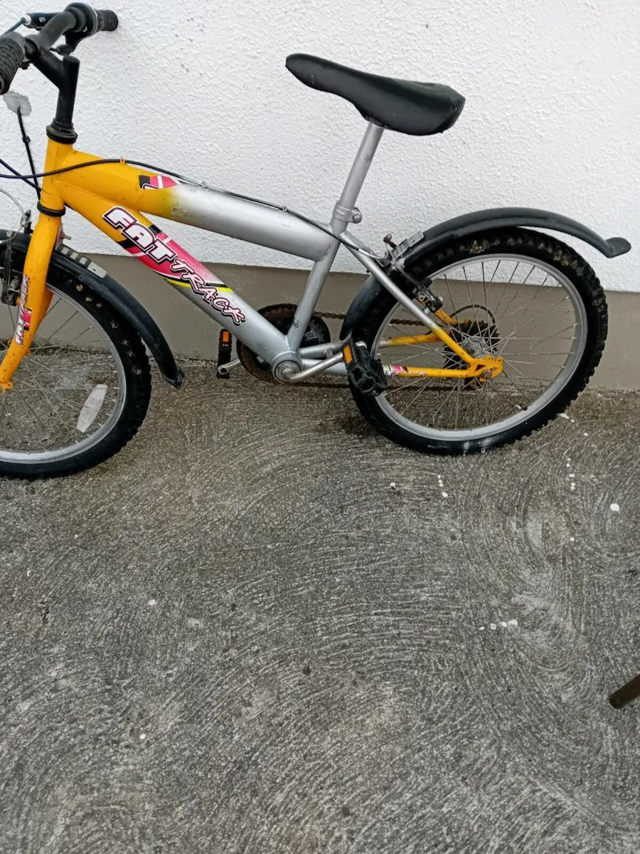 GIRLS BIKE 20 INCH WHEELS