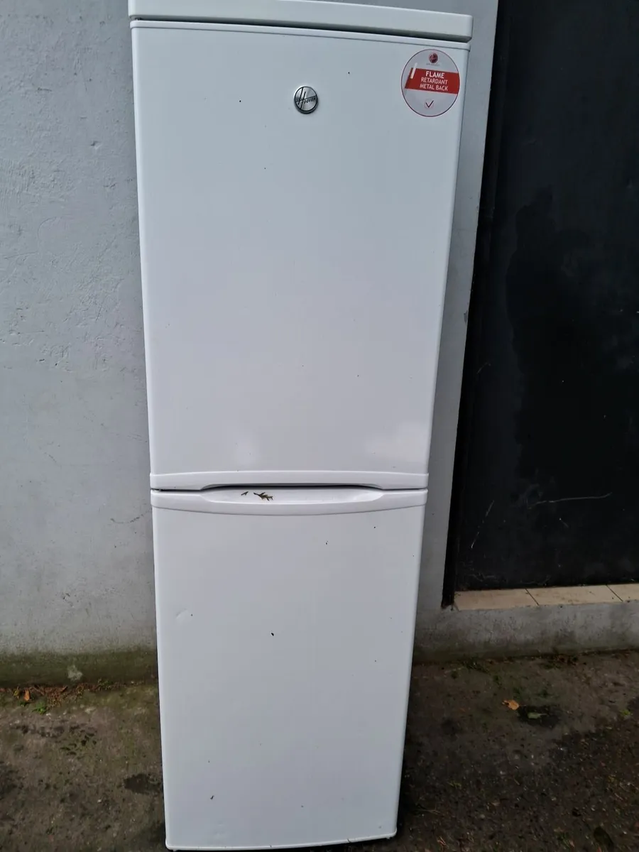 FRIDGE AND FREEZER - Image 1