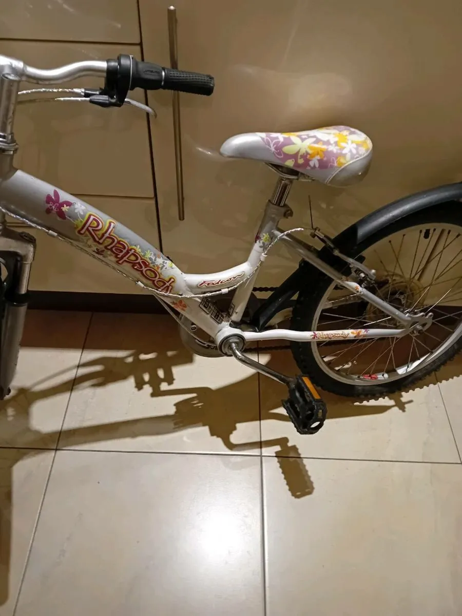 GIRLS BIKE 20 INCH WHEELS - Image 1