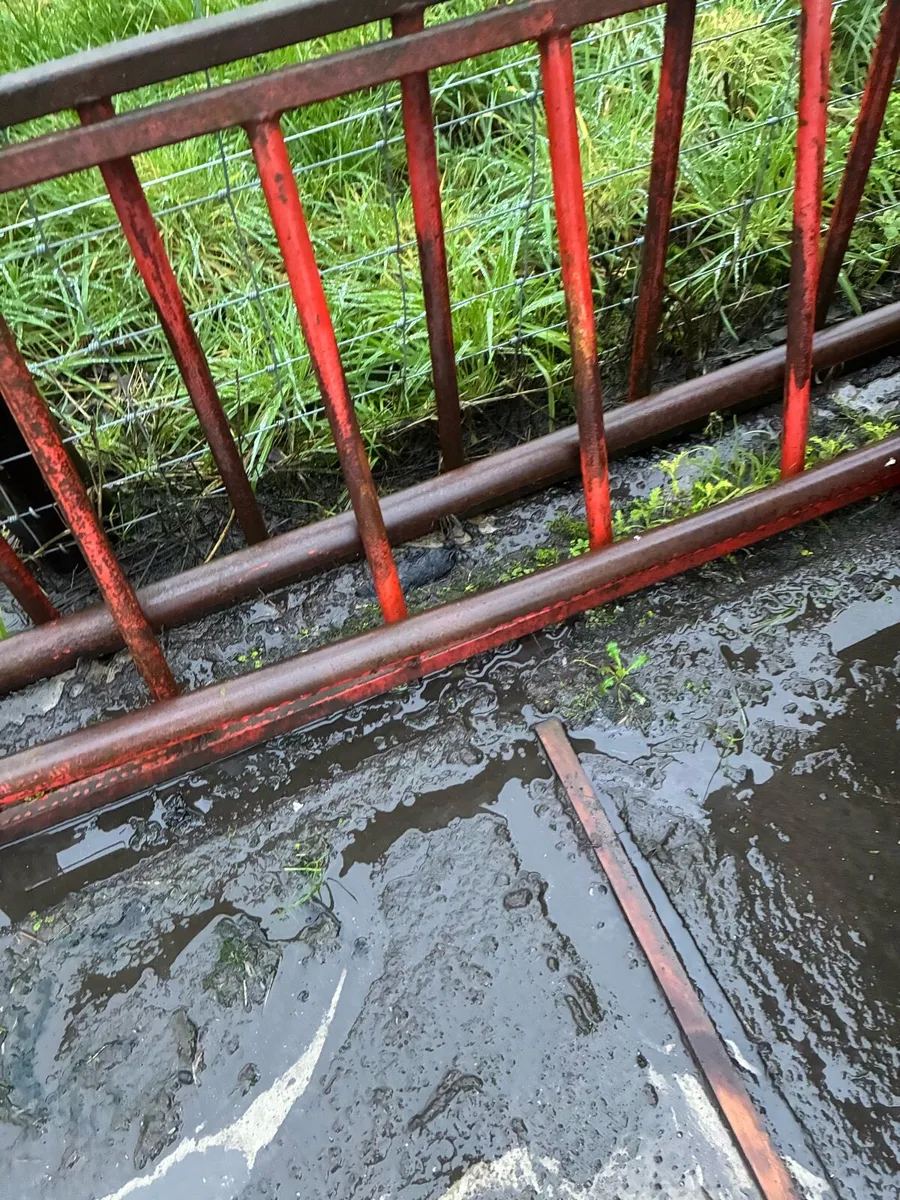 Sheep creep feeders - Image 2