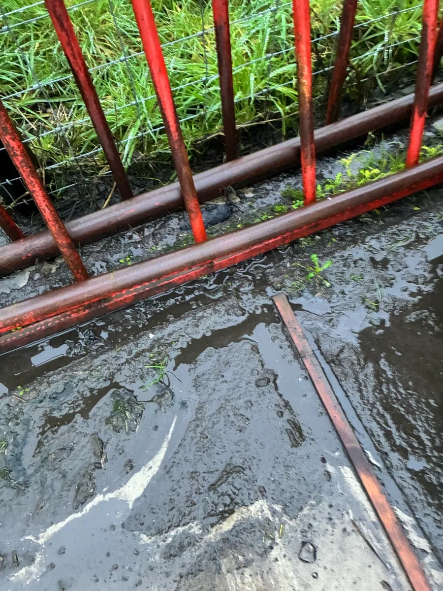 Sheep creep feeders - Image 3