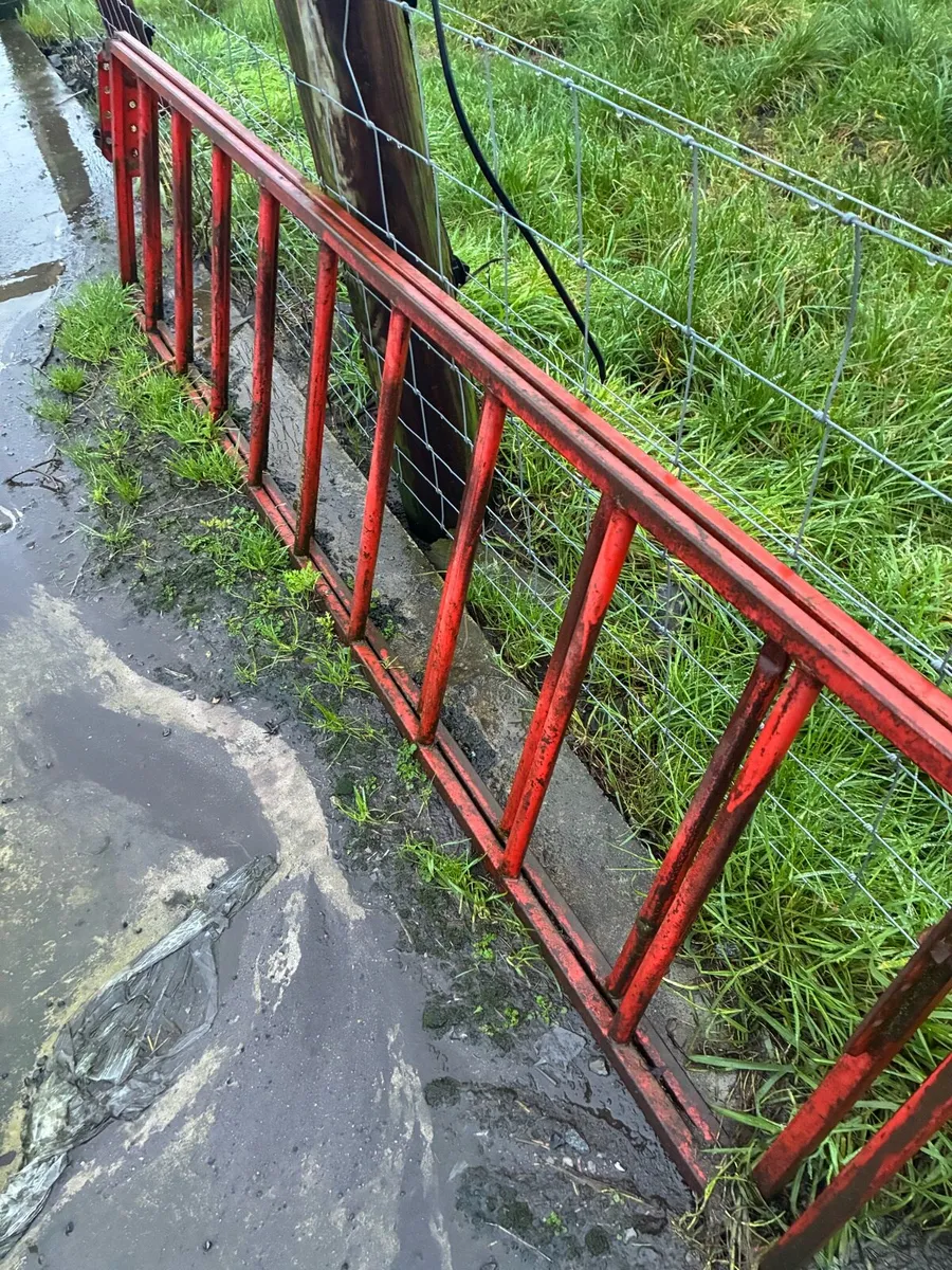 Sheep creep feeders - Image 4