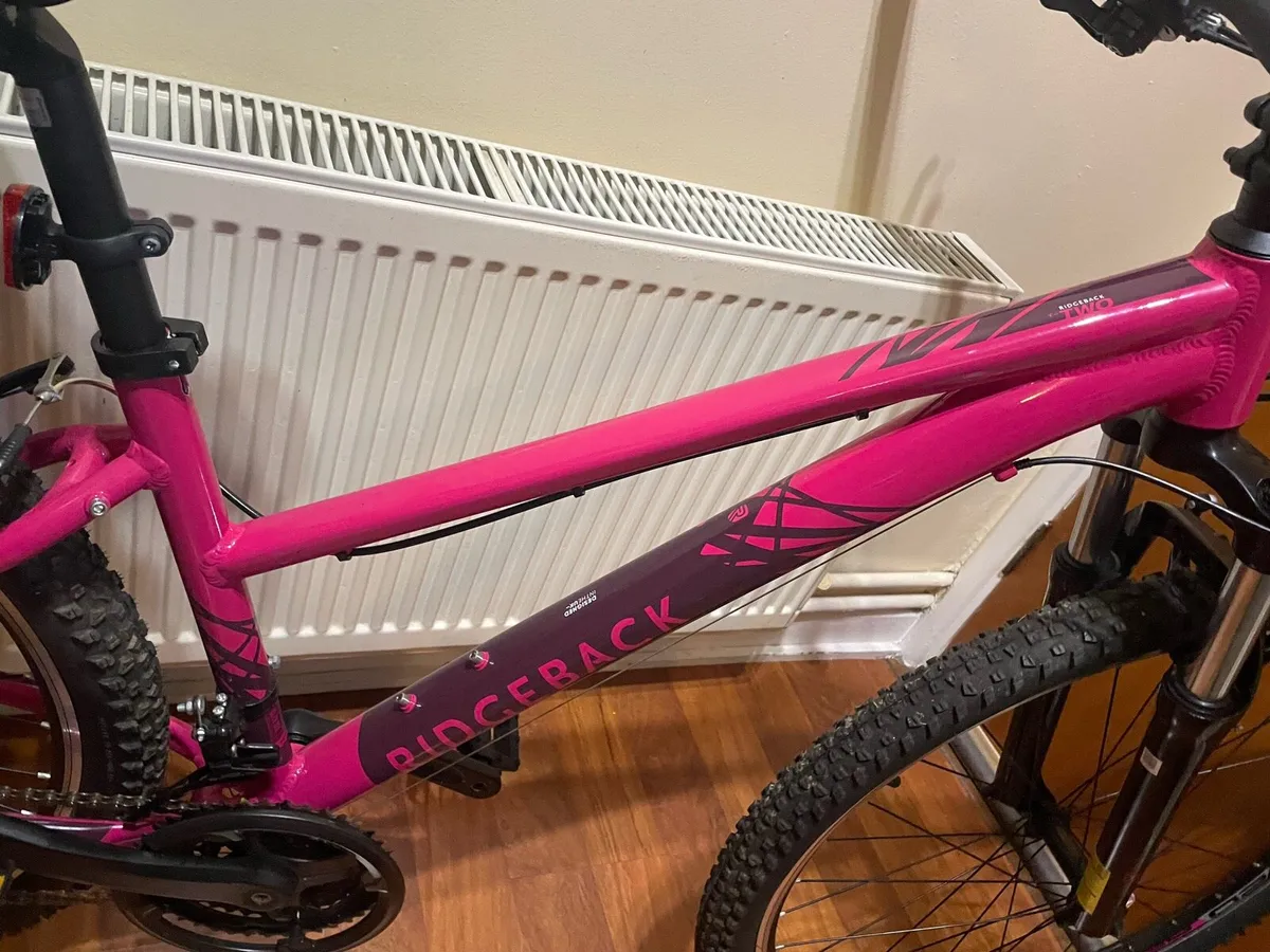 Ridgeback Two Mountain Bike - Image 2