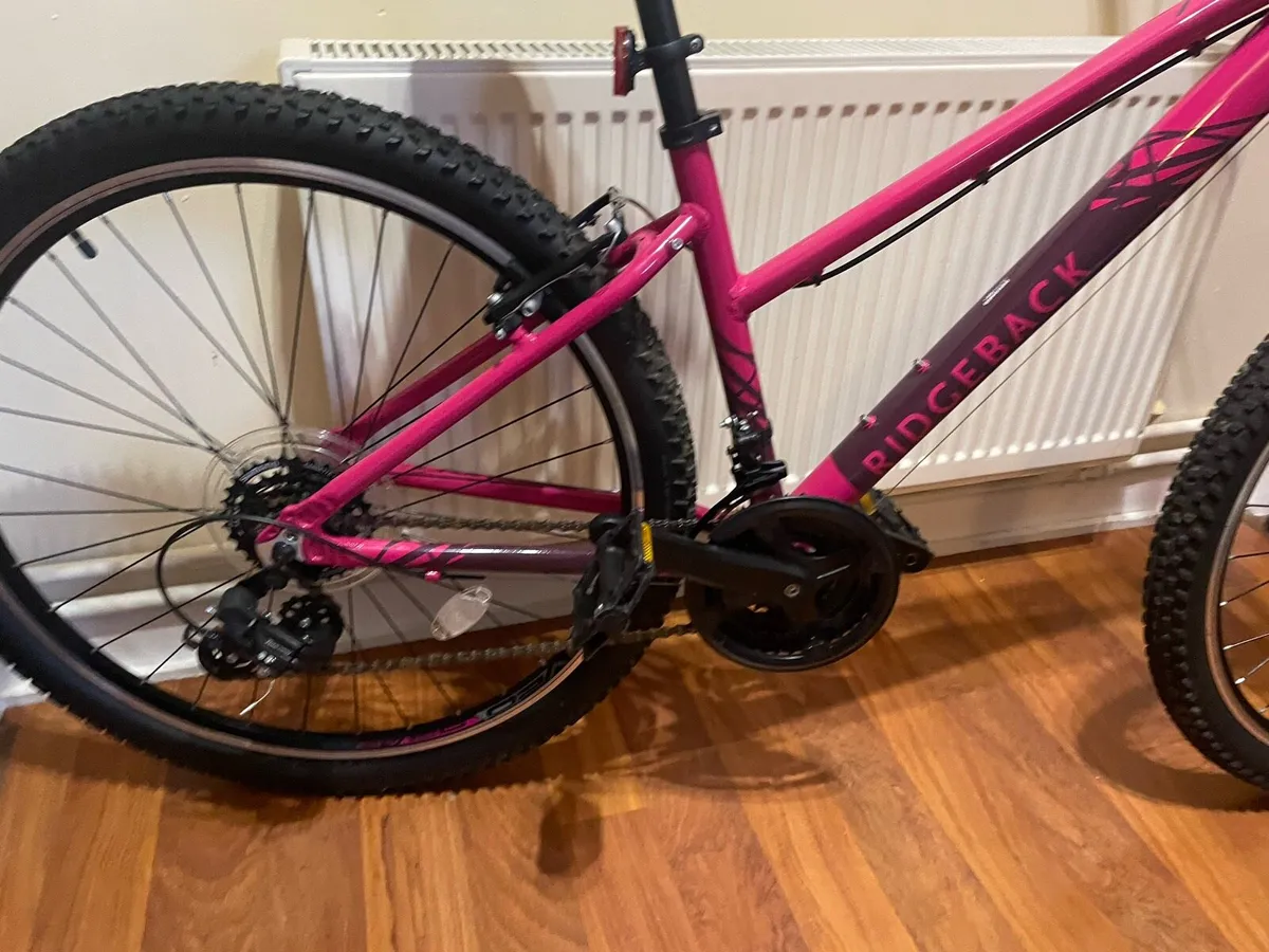 Ridgeback Two Mountain Bike - Image 4