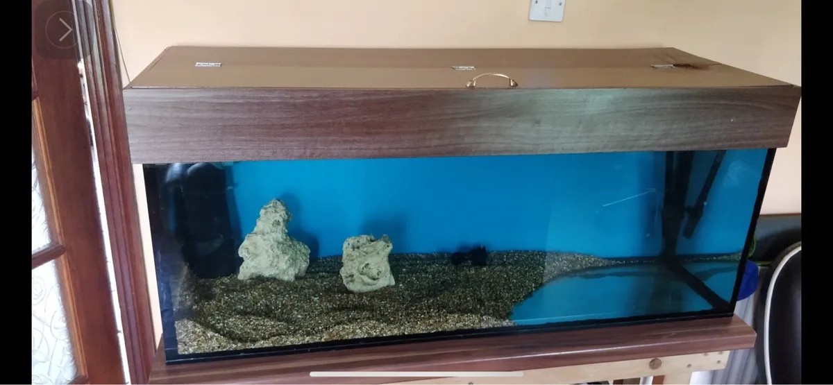 Fish tank - Image 1