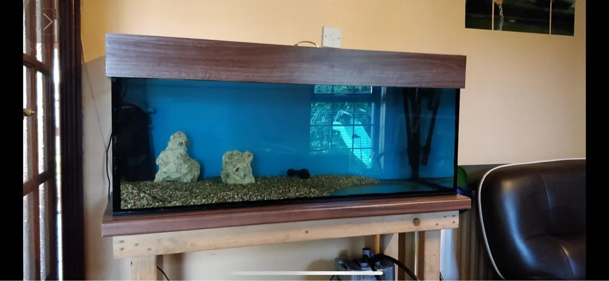 Fish tank - Image 2