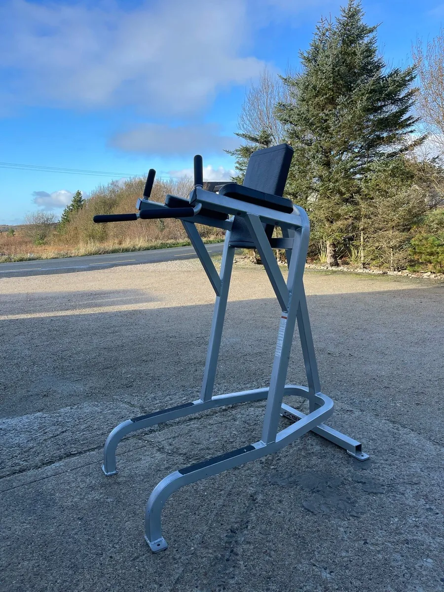 Cybex Leg Raise & Dip Station - Image 1