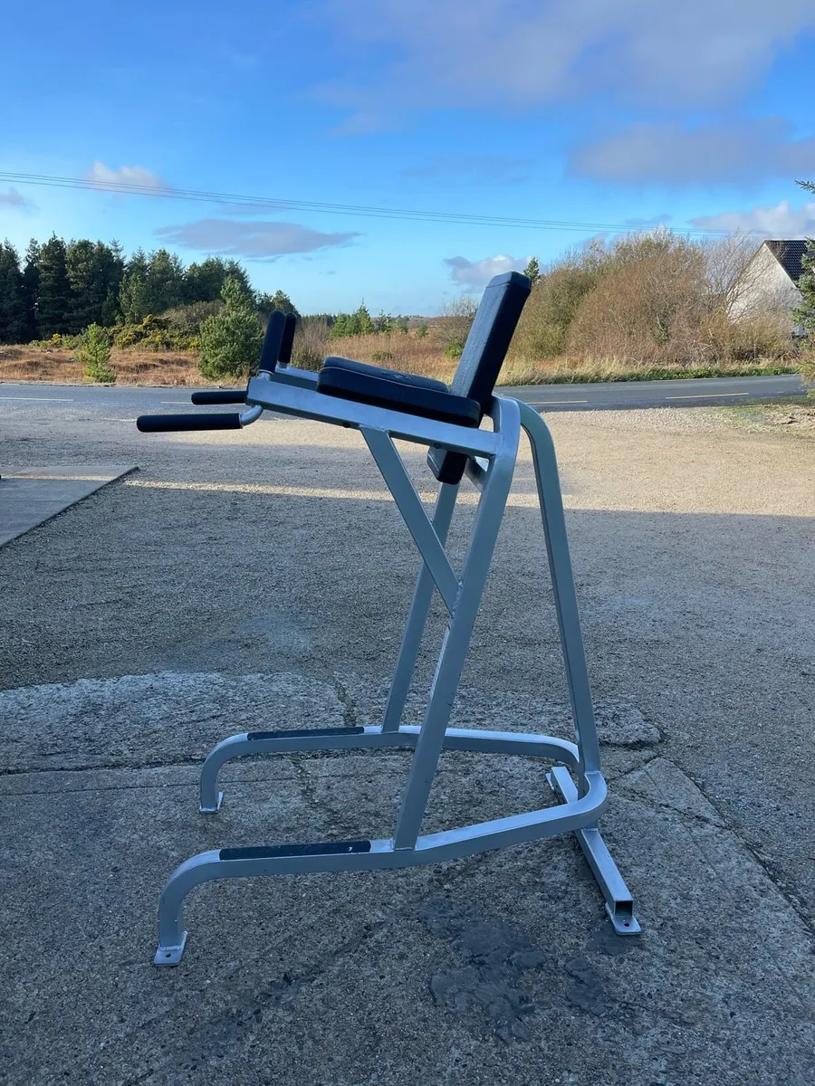 Cybex Leg Raise & Dip Station - Image 3