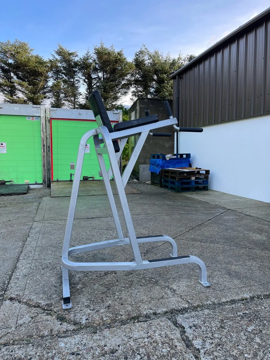 Cybex Leg Raise & Dip Station - Image 4