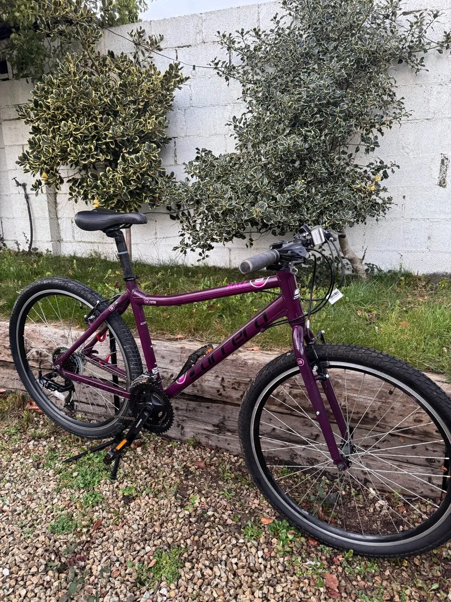 Carrera Axle MTb Bike - Image 2