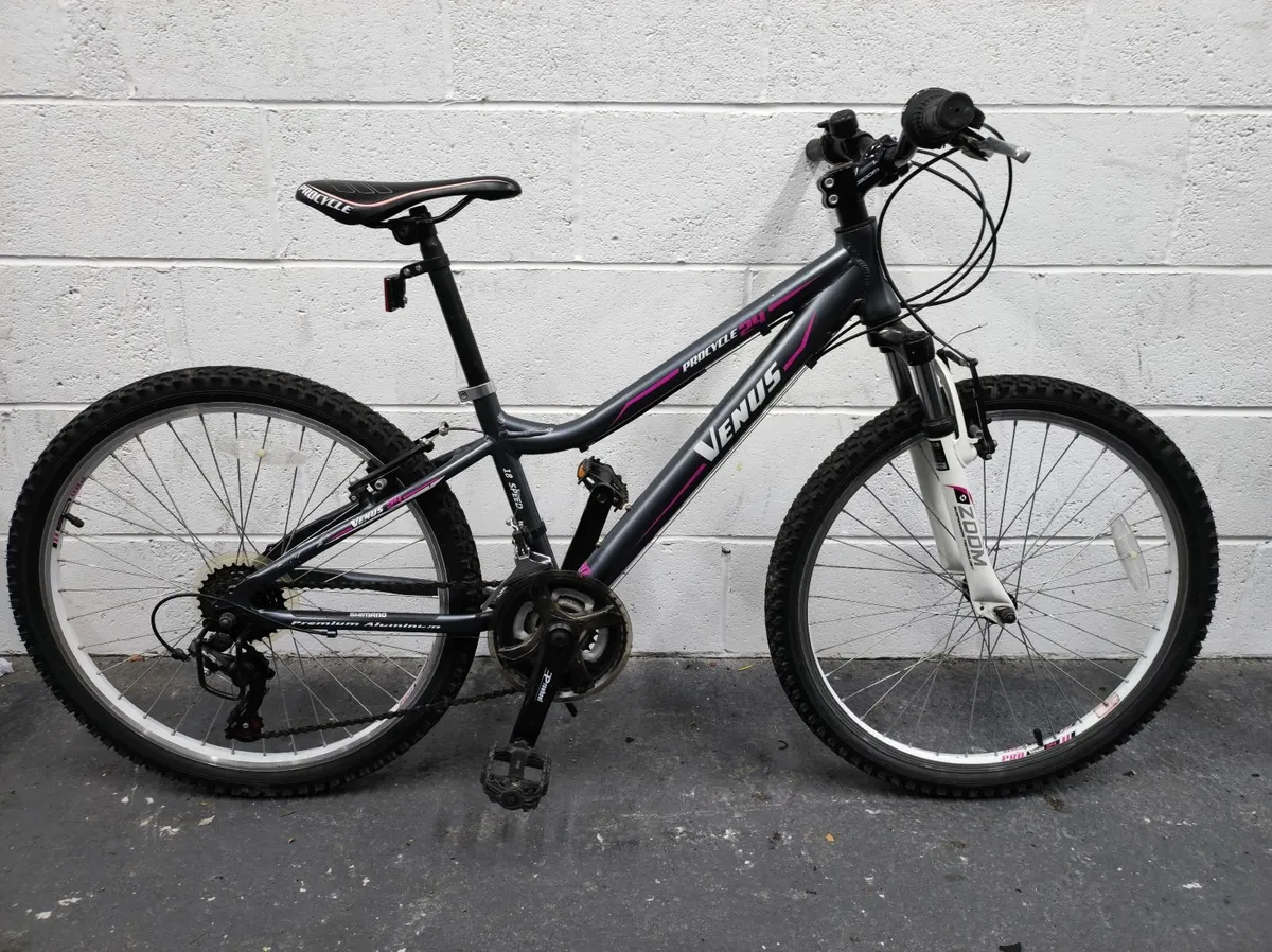 PROCYCLE VENUS Bike - Image 1