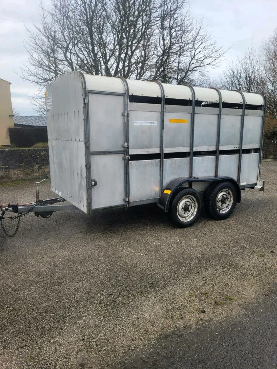 12x6 ifor Williams cattle trailer - Image 2