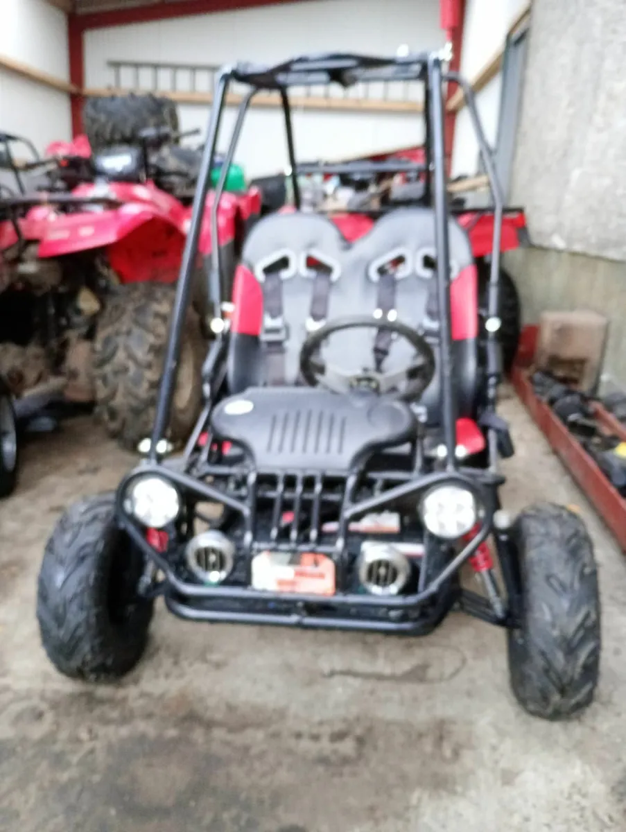 Quadzilla Kids petrol buggy - Image 1