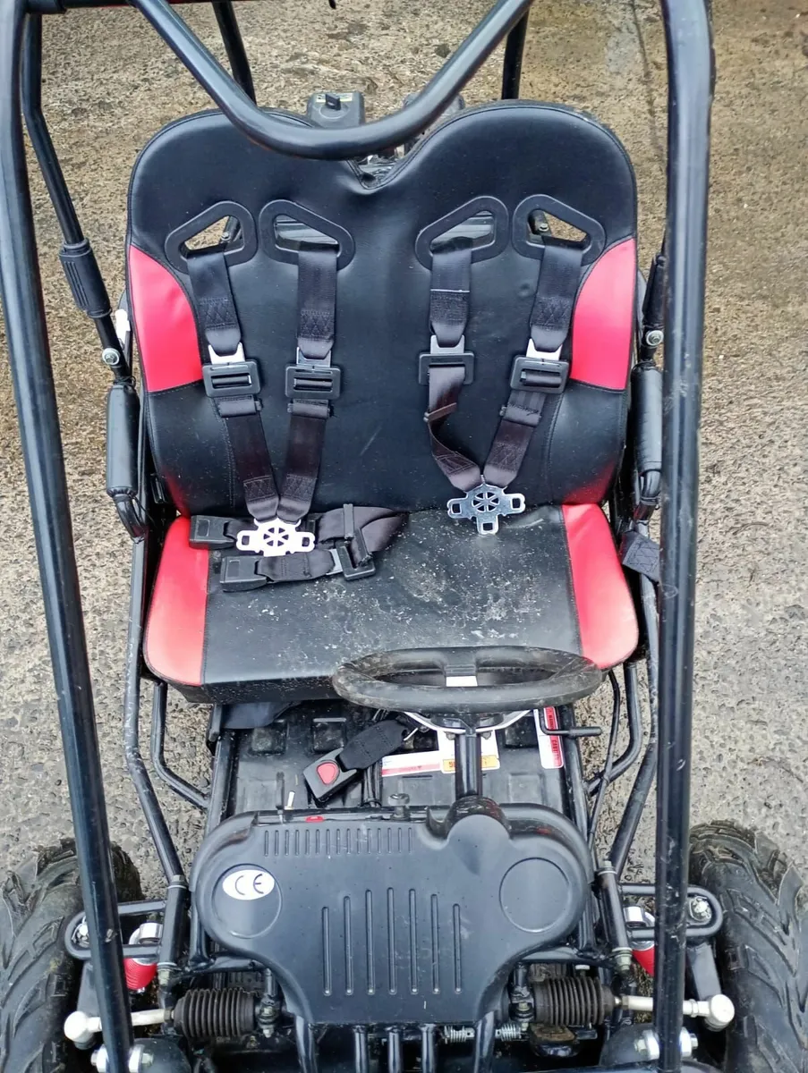 Quadzilla Kids petrol buggy - Image 2