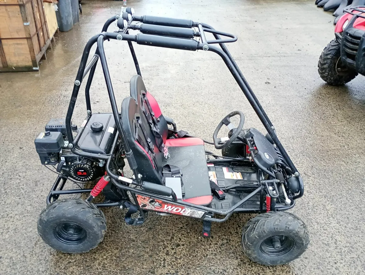 Quadzilla Kids petrol buggy - Image 3